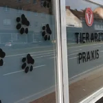 Dr. Cristina Suàrez Sabatès