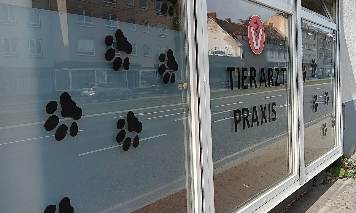 Tierarzt Dr. Cristina Suàrez Sabatès Kassel