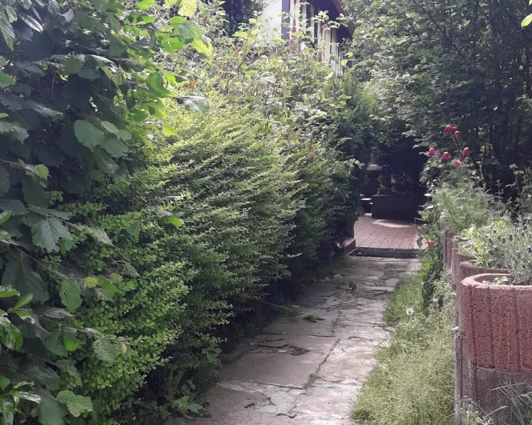 Dr.med.vet. Andrea Herz Tierärztin