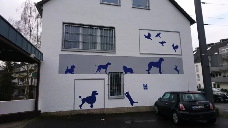 Dr. med. vet. Andrea Vollmar