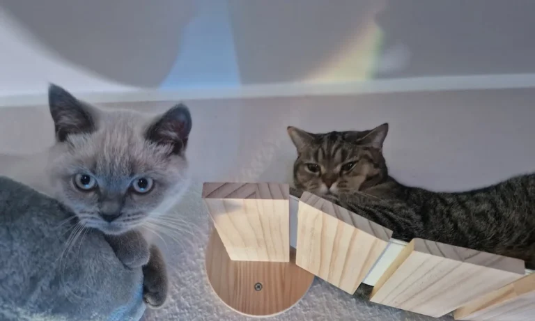 Dr.med.vet. Andreas Fiolna Tierarzt