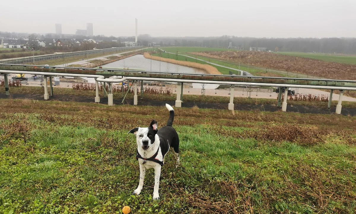 Tierarzt Dr.med.vet. Andreas Fiolna Tierarzt Gelsenkirchen