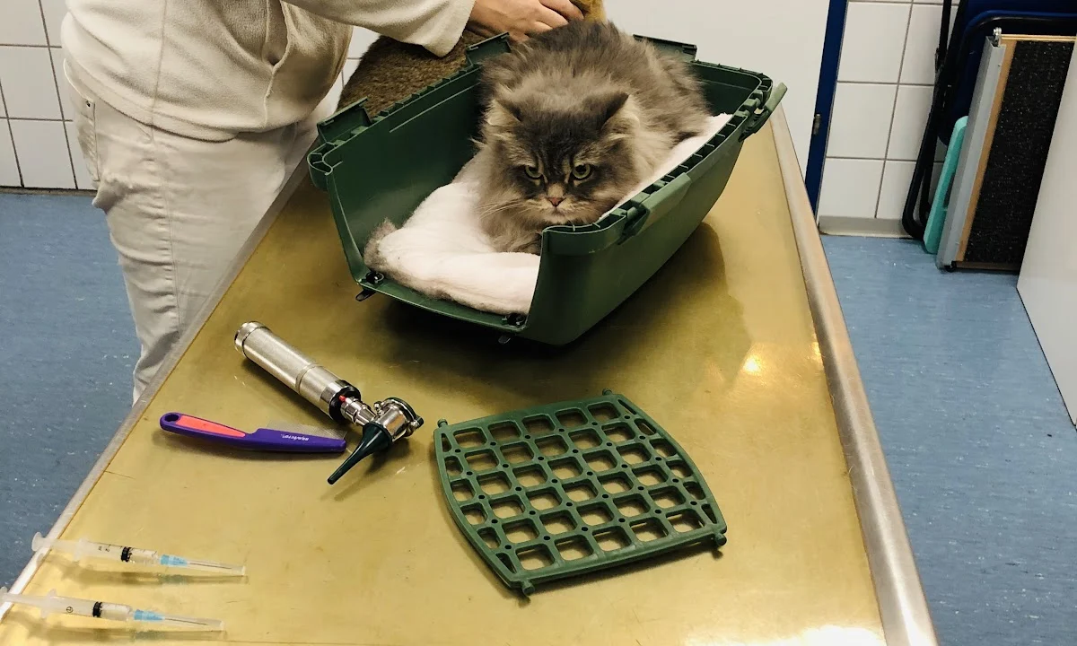 Tierarzt Dr. med. vet. Annette Fuchs Mannheim