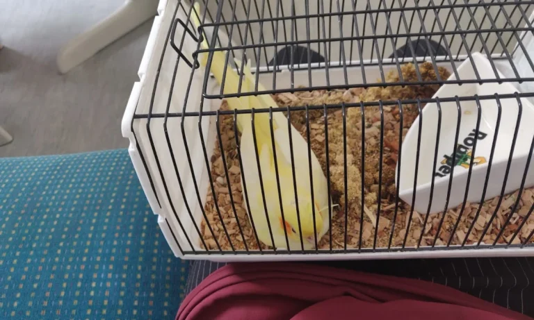 Dr.med.vet. Beate Philipp Tierärztin