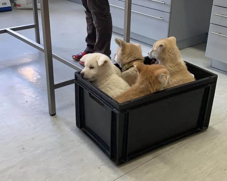 Dr.med.vet. Beate Philipp Tierärztin