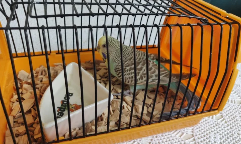 Dr.med.vet. Beate Philipp Tierärztin