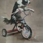 Dr. med. vet. Boris Radicke