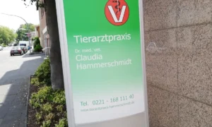 Dr. med. vet. Claudia Hammerschmidt