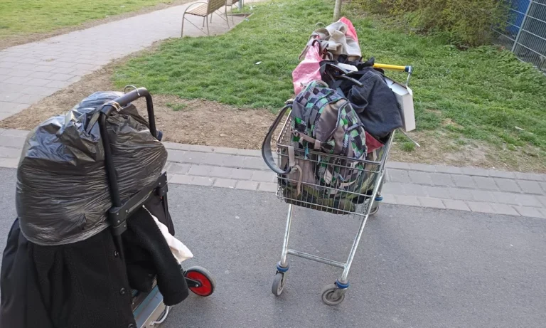 Dr.med.vet. Doris Lohse