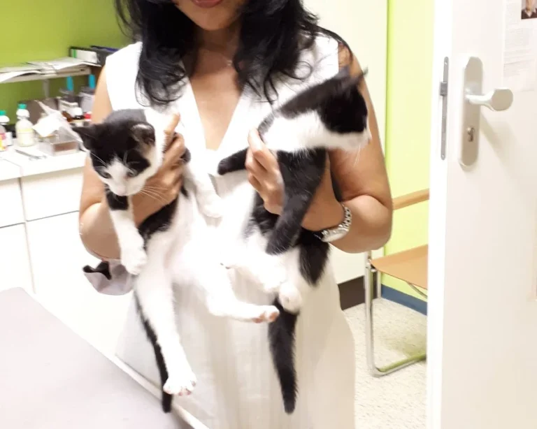 Dr.med.vet. Doris Lohse