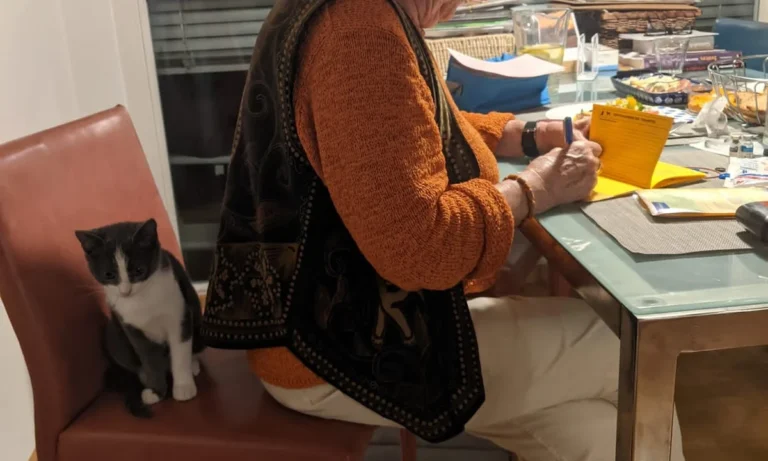 Dr.med.vet. Doris Lohse