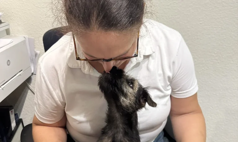 Dr. med. vet. Franziska Rust