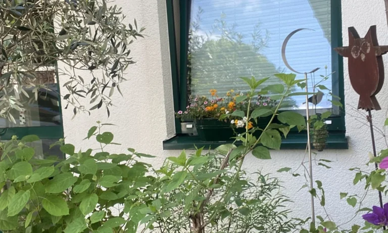 Dr. med. vet. Heike Vogt