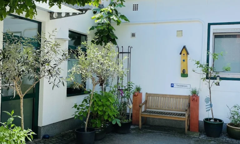 Dr. med. vet. Heike Vogt