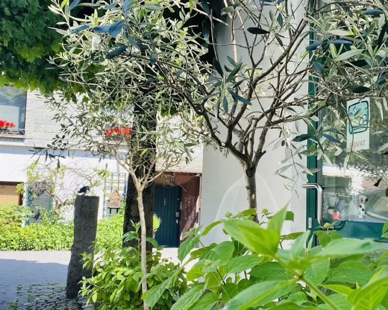 Dr. med. vet. Heike Vogt