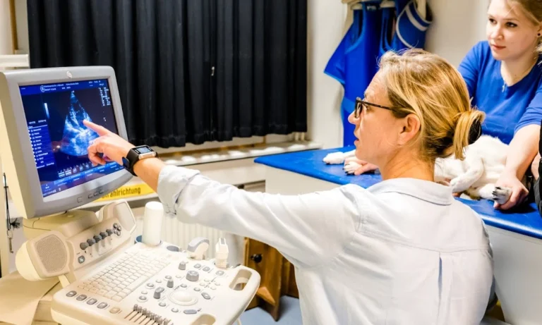 Dr.med.vet. Jeannette Albrecht Tierärztin