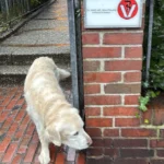 Dr. med. vet. Jens Freund