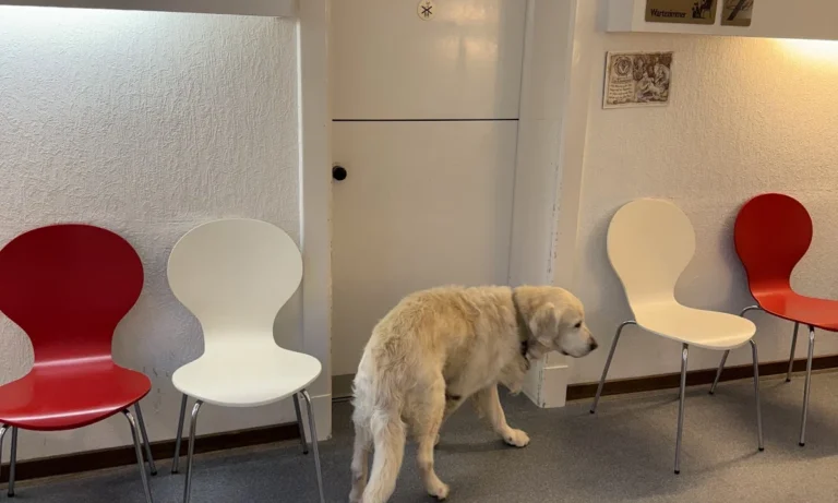 Dr. med. vet. Jens Freund