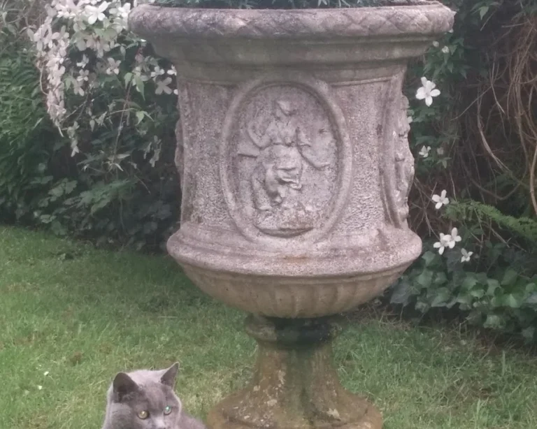 Dr. med. vet. Jens Freund