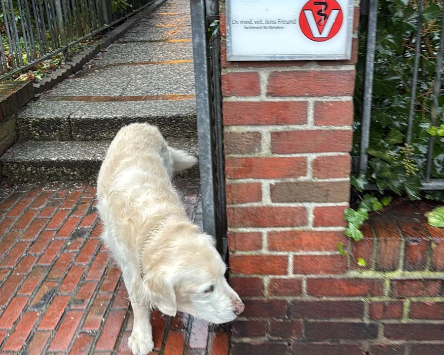 Tierarzt Dr. med. vet. Jens Freund Hamburg