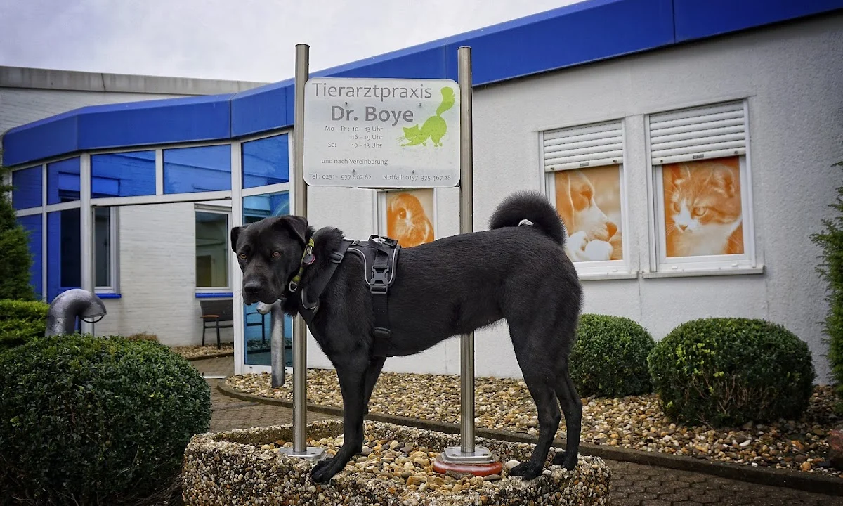 Tierarzt Dr. med. vet. Kai Boye Dortmund