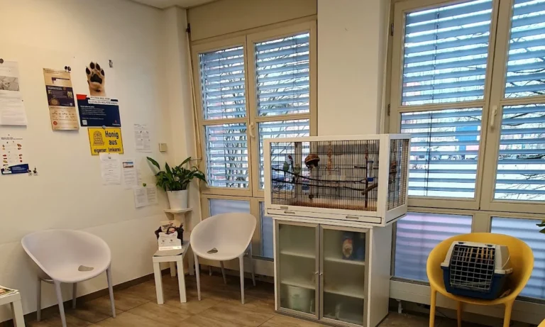 Dr. med vet Kerstin Reich