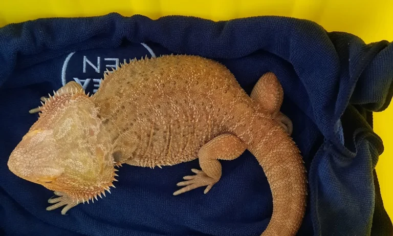 Dr. med. vet. Mario Erler