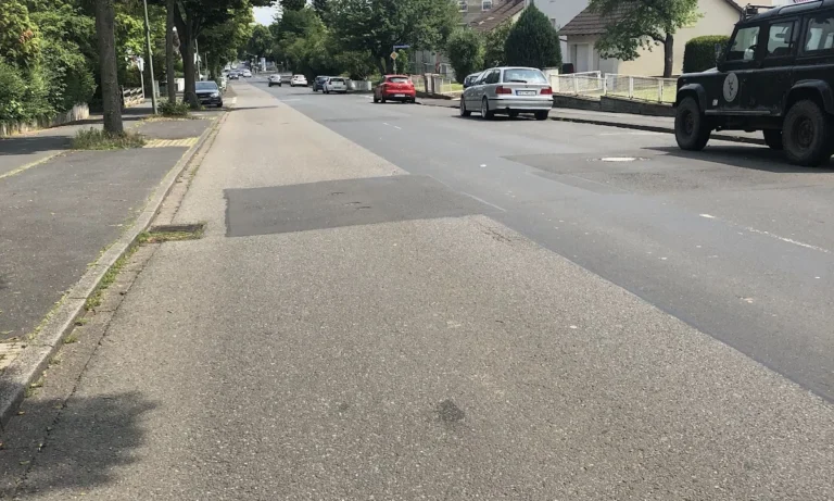 Dr. med. vet. Mario Erler