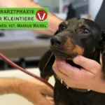 Dr. med. vet. Markus Waibel Tierarzt