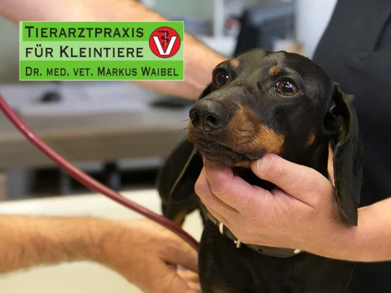 Dr. med. vet. Markus Waibel Tierarzt