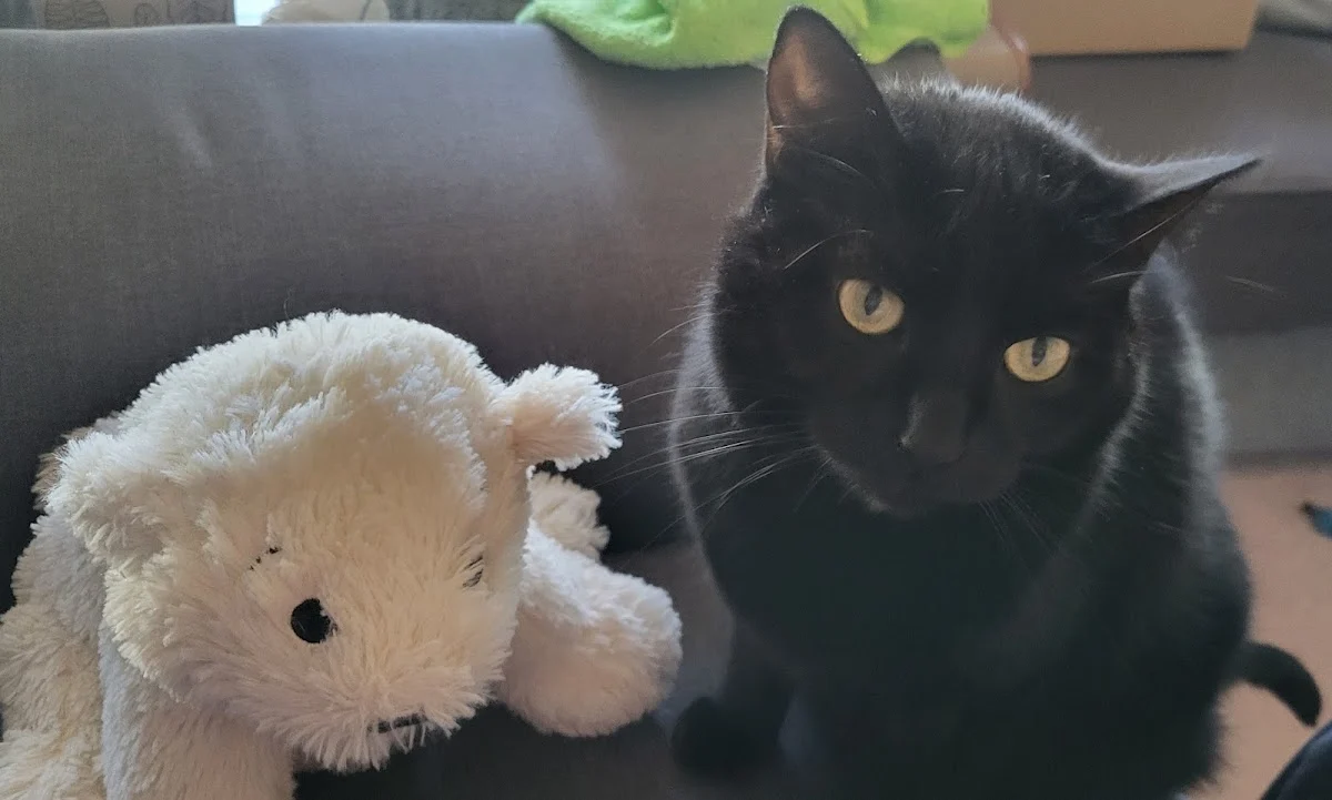 Tierarzt Dr. med. vet. Martin Frettlöh Siegen