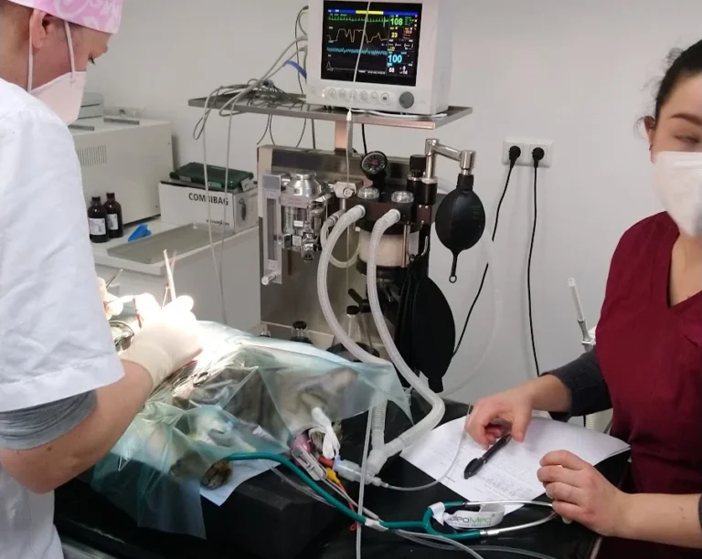 Dr. med. vet. Robert Hausner Tierarztpraxis