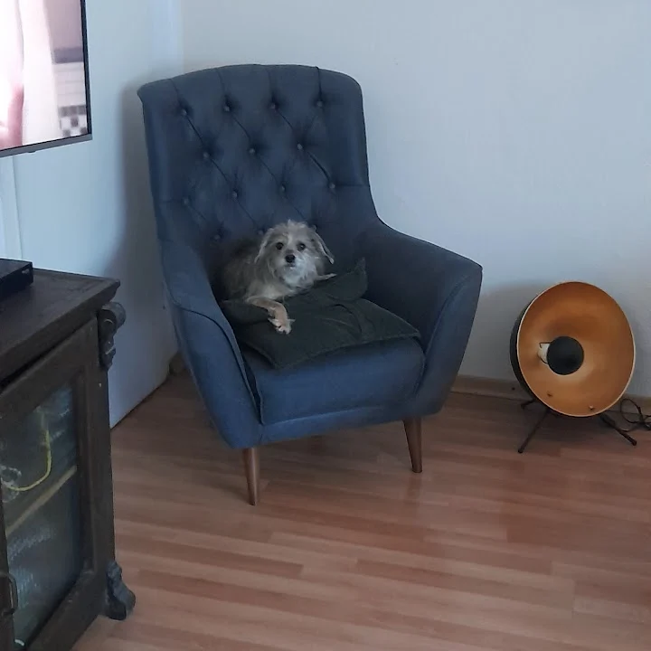 Dr. med. vet. Stefan Schultheis