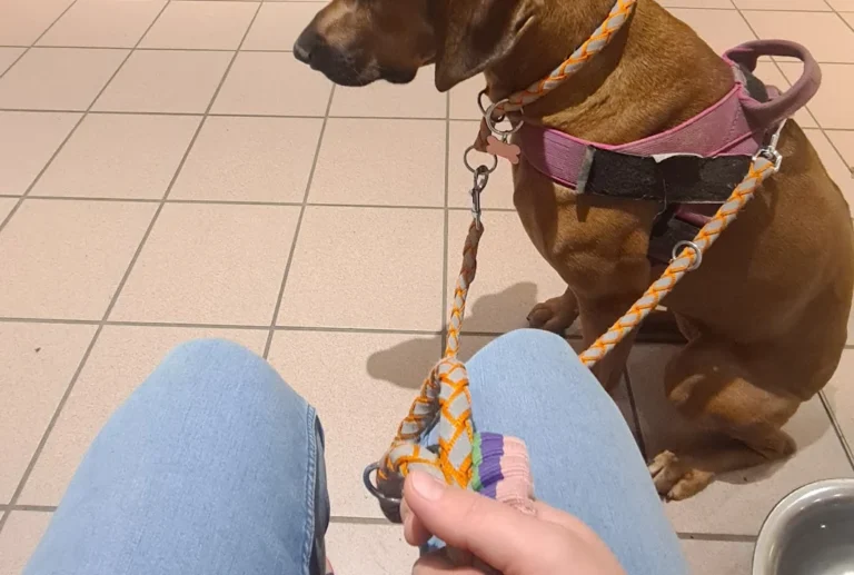 Dr. med. vet. Ulrich Jautz