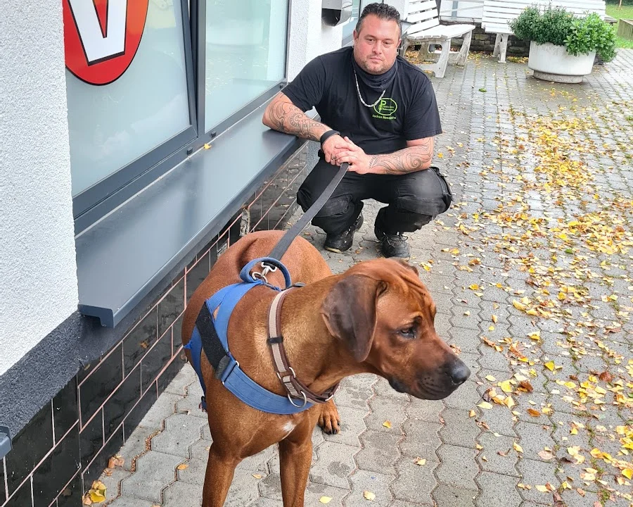 Tierarzt Dr. med. vet. Ulrich Jautz Koblenz