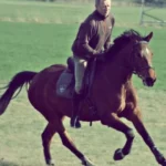 Dr.med.vet. Ulrich Wünsch Tierarzt