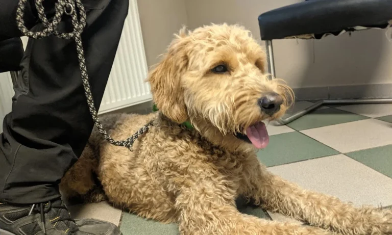 Dr. med. vet. Uta Bachler & Dr. med. vet. Götz Bachler