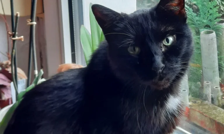 Dr. med. vet. Uta Bachler & Dr. med. vet. Götz Bachler