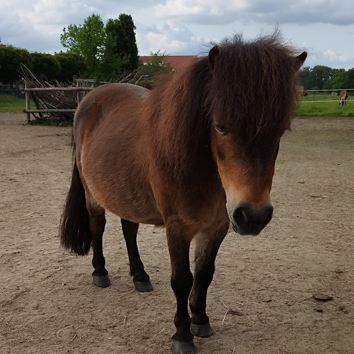 Dr. Pelz | Tierarzt in Münster