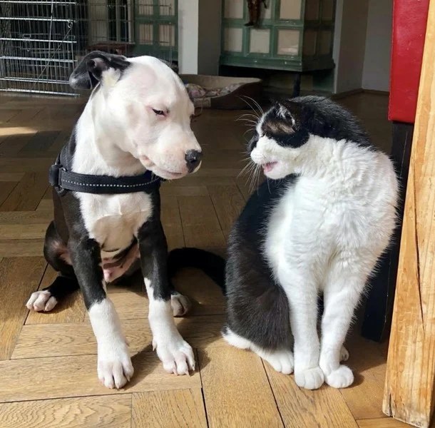 Dr. Radka Engelhard, München