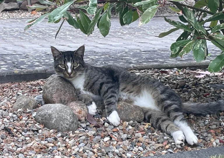 Dr. Thomas Jach Tierarzt