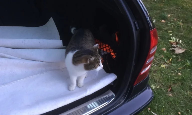 Dr. Thomas Jach Tierarzt