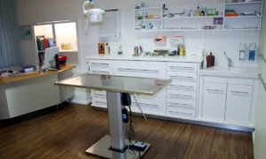 Dr. Uwe Jaspers, Kleintierpraxis