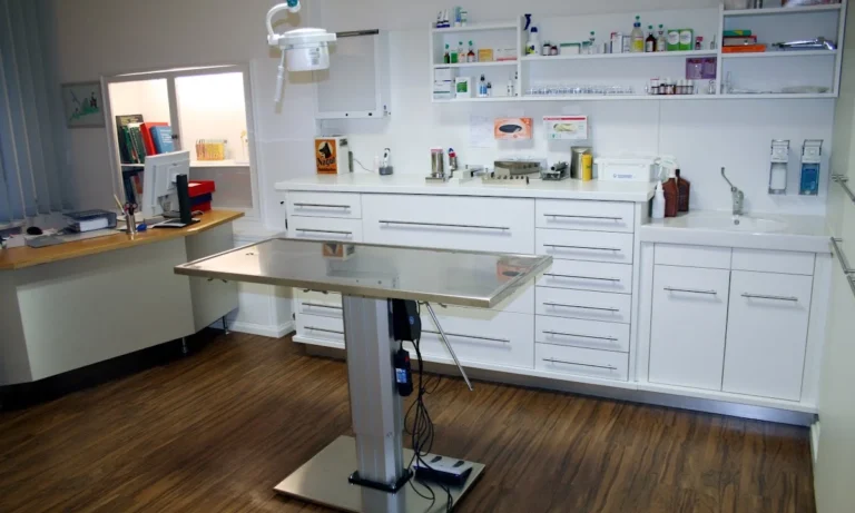 Dr. Uwe Jaspers, Kleintierpraxis