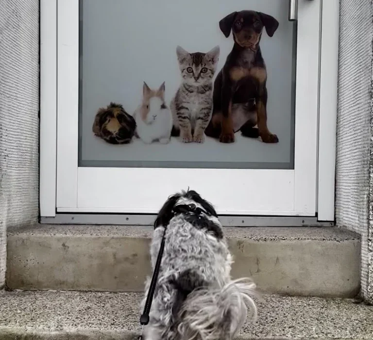 Dr. Uwe Jaspers, Kleintierpraxis