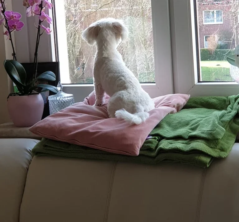 Dr. Volker Robert Gerlitzki