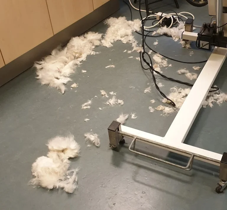 Dr. Volker Robert Gerlitzki