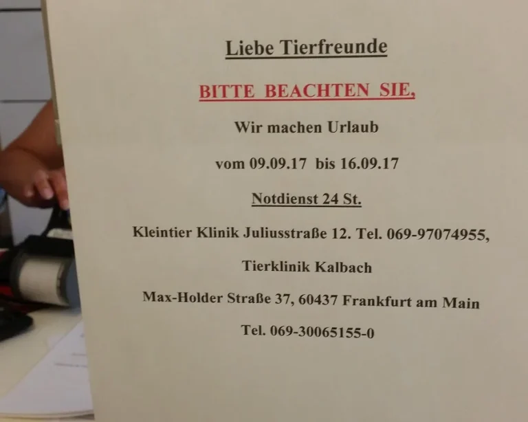 Elena Panova Tierärztin in Frankfurt