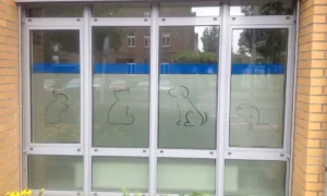 Elke Peters-Gottwald