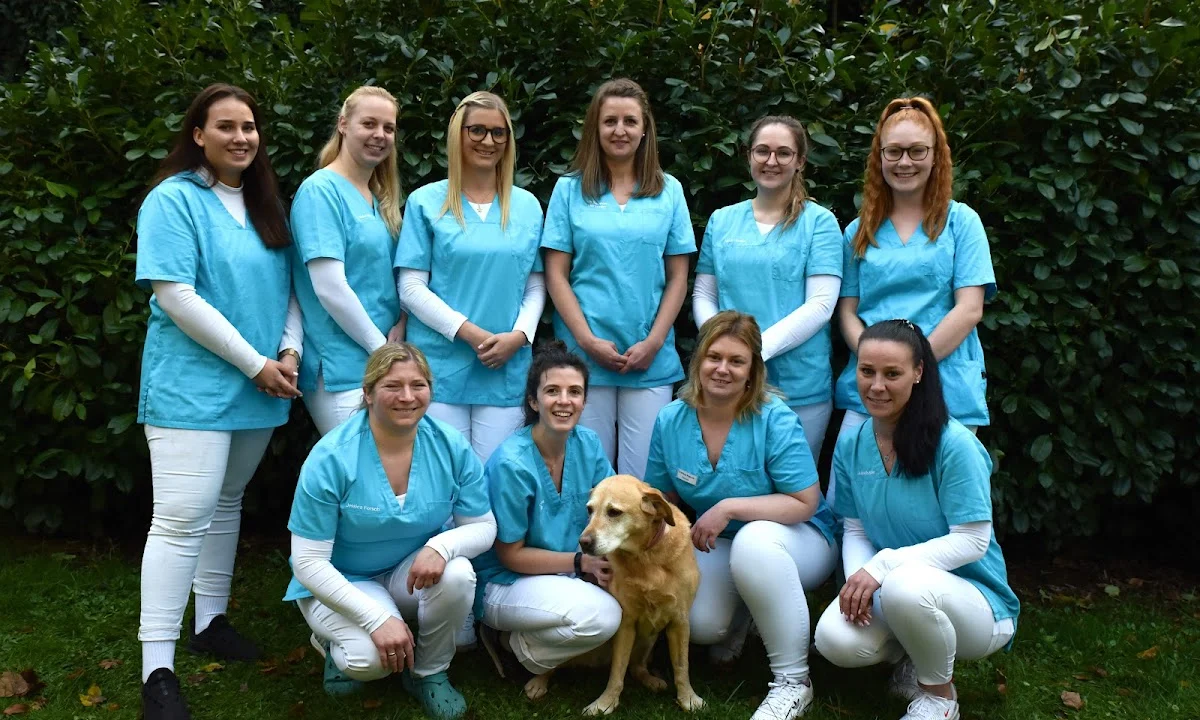 Tierarzt Evidensia Kaiserslautern
